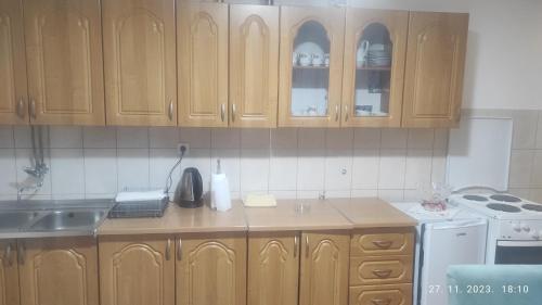 eine Küche mit Holzschränken und einer Arbeitsplatte in der Unterkunft Apartman.nemanjica bb in Nevesinje