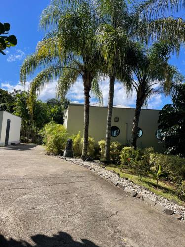 a driveway with palm trees in front of a building at Domaine entre ciel & mer Villa Dolce Vita in Deshaies