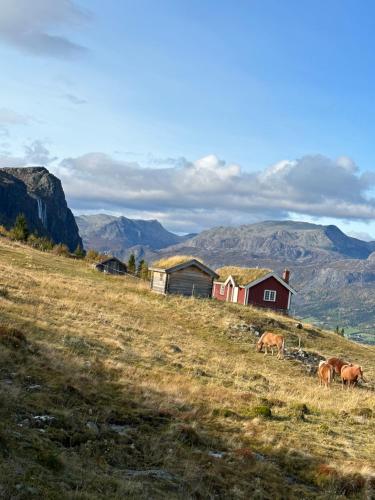 a group of horses grazing on a hill with mountains at Hyggelig leilighet i sentrum in Hemsedal