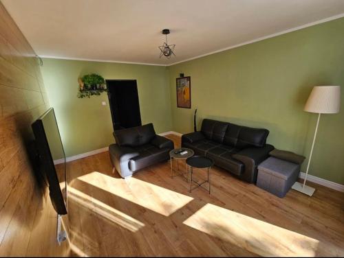 a living room with two couches and a television at CENTRAL APARTMAN 7 in Komárno