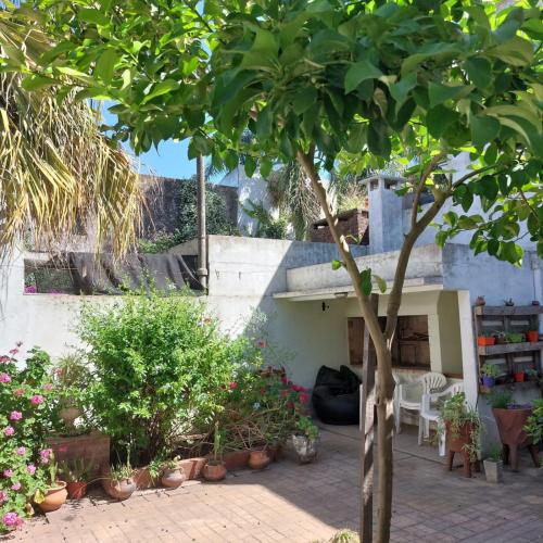 a patio with potted plants and a tree at BELGRANO in Chivilcoy