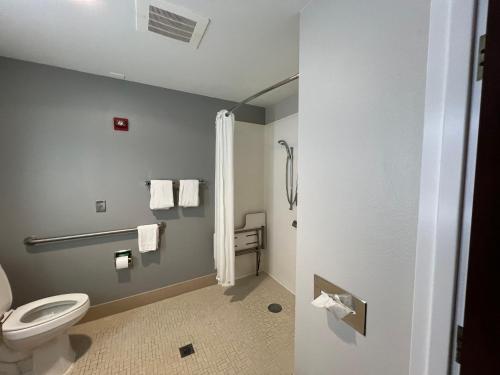a bathroom with a toilet and a shower at Baton Rouge Inn & Suites LSU-Medical Corridor in Baton Rouge