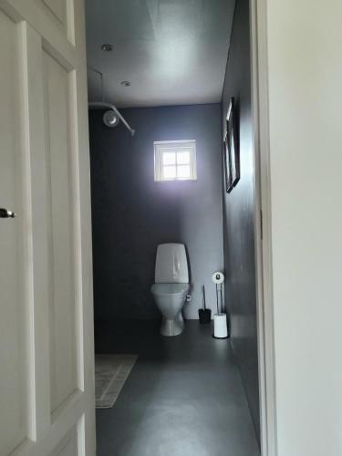 a bathroom with a toilet and a window at Mysigt hus i liten by nära havet in Ystad