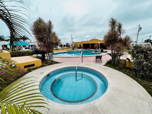 - une piscine avec 2 piscines plantées de palmiers dans l'établissement Agradable villa, à Salinas