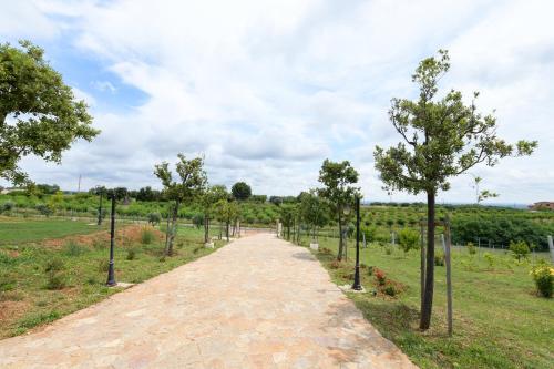 Paisaje cerca de este agroturismo
