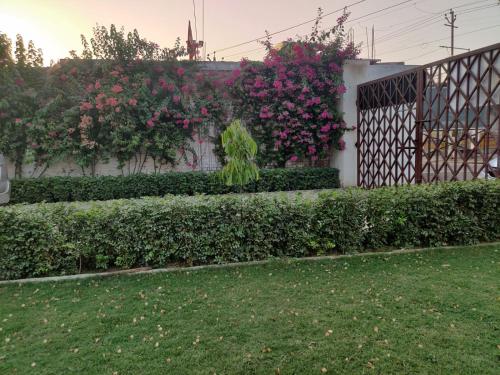 a garden with pink flowers and a fence at JP International Naimisharanya in Naimishāranya