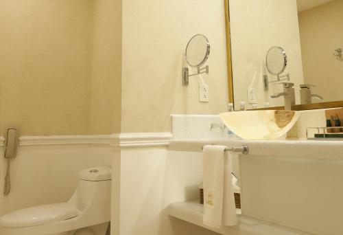 a bathroom with a toilet and a sink and a mirror at Gran Hotel Ciudad de México Zócalo View in Mexico City