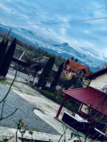 a view of a street with a house and mountains at Pensiunea Irina Maramureș in Deseşti