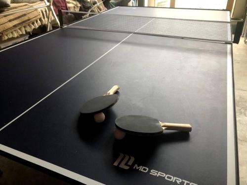 a ping pong table with two ping pong paddles on it at Jungle Haven Ocean Front Eco Villa On Fruit Farm in Pahoa