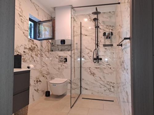 bagno con doccia in vetro e servizi igienici di Villa Si'Seta a Krk
