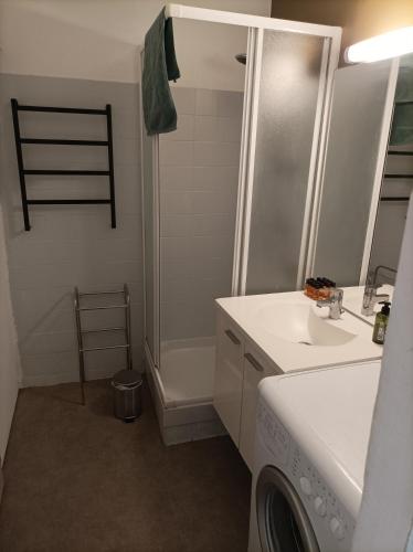 une salle de bain avec douche et lavabo et une machine à laver dans l'établissement 