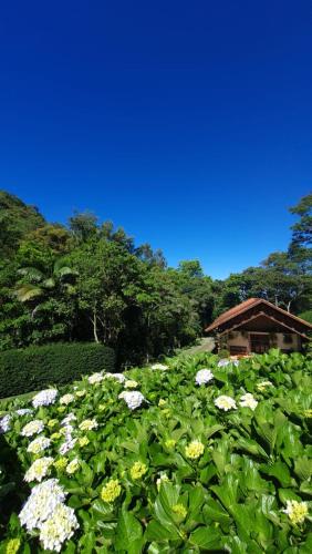 a field of flowers with a house in the background at Pousada da Mata in Cunha
