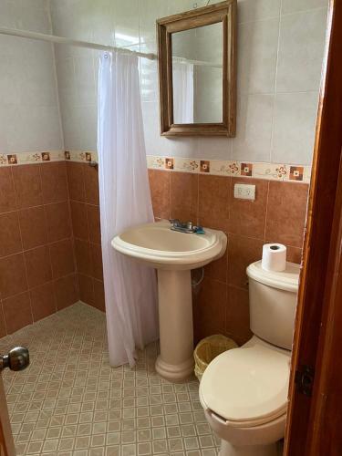 a bathroom with a sink and a toilet and a mirror at Rancho Hotel El Carmen in Tlapacoyan