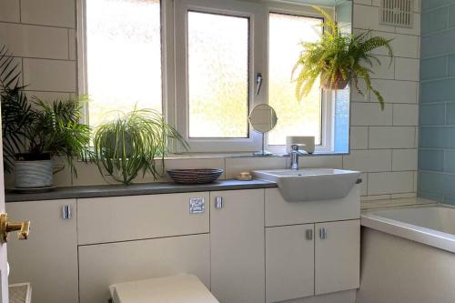 een badkamer met witte kasten, een wastafel en 2 ramen bij 2BD Garden Hideaway in Lewes in Lewes