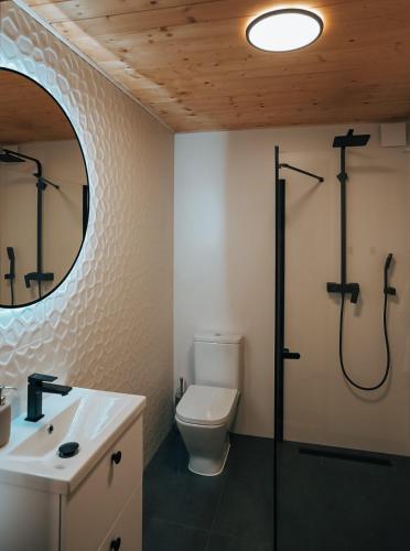 a bathroom with a toilet and a sink and a mirror at Lofoten Cabins in Hopen