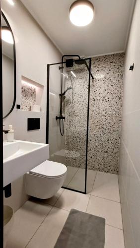 a bathroom with a shower and a toilet and a sink at Pokoje Goscinne SALOMEA in Karwia