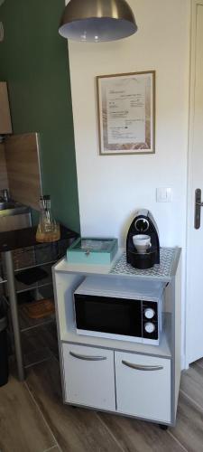un micro-ondes posé sur un comptoir dans une cuisine dans l'établissement Les Garriguettes, à Gréoux-les-Bains