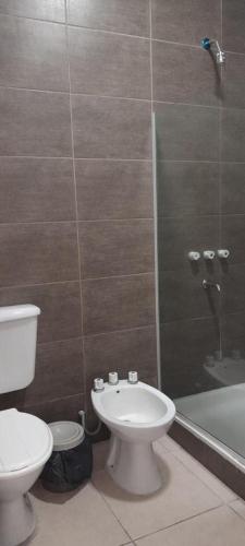 uma casa de banho com um WC, um lavatório e um chuveiro em Monoambiente Céntrico2 em Santiago del Estero