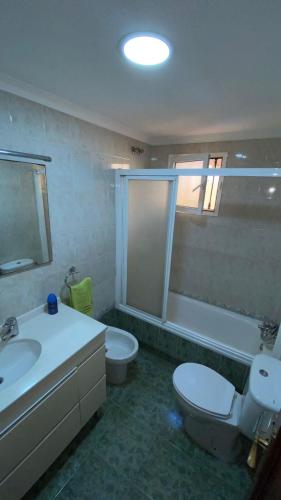 a bathroom with a toilet and a sink and a shower at Piso bien ubicado y acogedor in Málaga