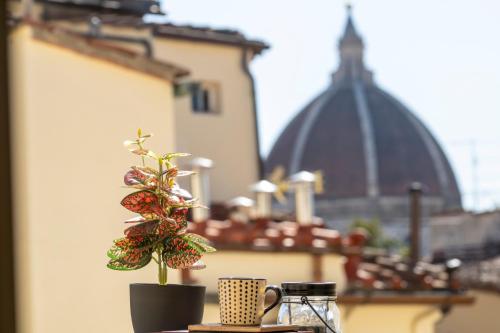 Roofscape view
