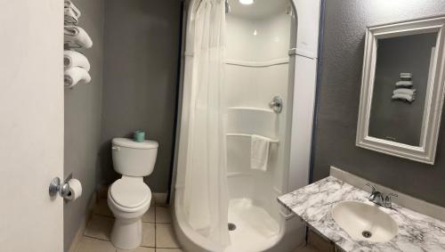 a bathroom with a shower and a toilet and a sink at Americas Best Value Inn and Suites Groves in Groves