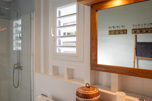 een badkamer met een wastafel en een spiegel bij Villa Paruline in Grand-Bourg