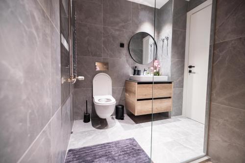 a bathroom with a toilet and a sink and a mirror at Belgrade Waterfront Cozy Symphony 1 in Sajmište