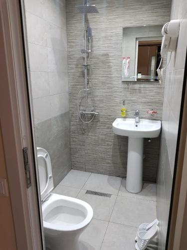 a bathroom with a toilet and a sink at Apartment in the centre of Yerevan for rent in Yerevan