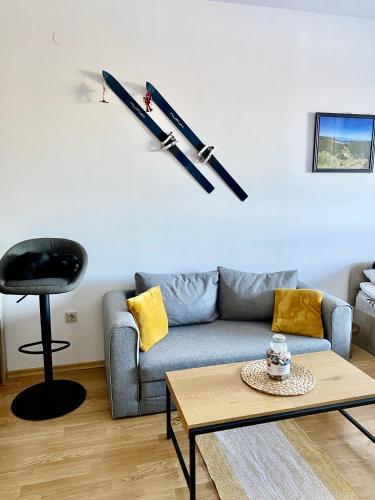 a living room with a couch and skis on the wall at Cosy studios with mountain view near Bansko in Razlog