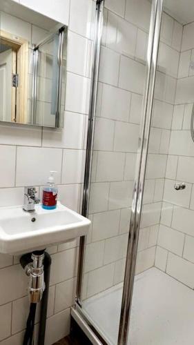 a bathroom with a shower and a sink at Cosy Quiet Single Studio in Merton