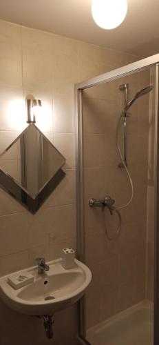 W łazience znajduje się prysznic, umywalka i prysznic. w obiekcie Ferienwohnung "Villa Alexander" 4 DTV-Sternen Neu Eröffnung w mieście Bad Ems