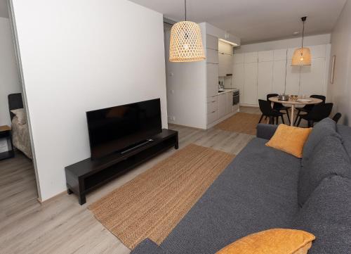 a living room with a couch and a flat screen tv at Holiday Apartment Aava 1 in Rovaniemi