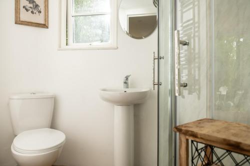 y baño con aseo, lavabo y espejo. en Honeycombe - Treehouse in the Heart of Dorset en Blandford Forum