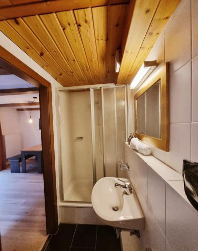 a bathroom with a sink and a shower at Haus Marinus in Jerzens