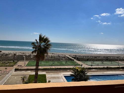 - une vue sur une plage avec un palmier et une piscine dans l'établissement BARCARESA-Appartement face mer et piscine wifi clim garage, au Barcarès