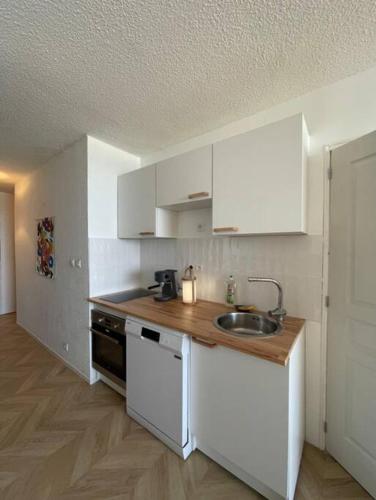 BARCARESA-Appartement face mer et piscine wifi clim garage