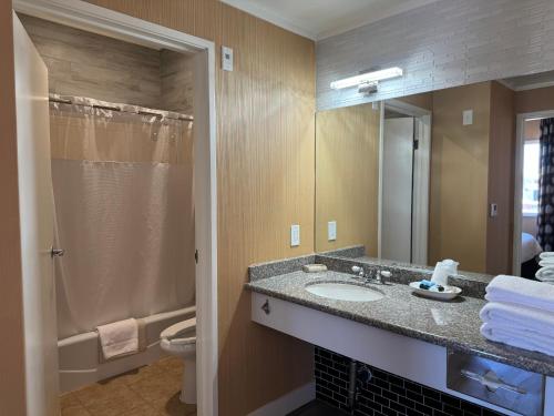 a bathroom with a sink and a toilet and a mirror at Garden Suite Hotel and Resort in Los Angeles