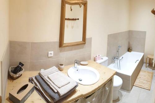 a bathroom with a sink and a toilet and a mirror at Appartement cosy avec jardin in Saint-Jean-d'Aulps