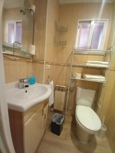 a bathroom with a toilet and a sink at La Casuca de Ana&Isabel in Palencia