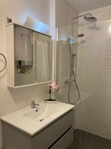 une salle de bain blanche avec un lavabo et une douche dans l'établissement Adorable studio avec un parking prive, à Strasbourg