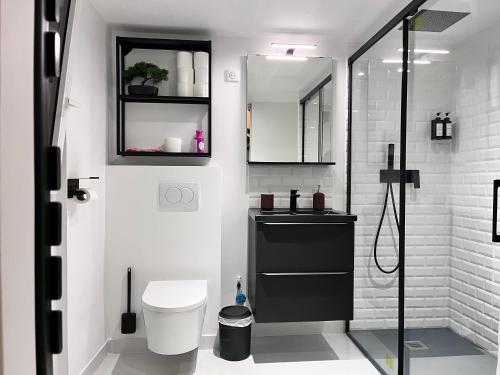 une salle de bain avec une douche, des toilettes et un lavabo dans l'établissement Appartement indép cosy avec jardin, à Saint-Denis
