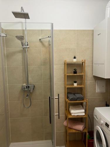 eine Dusche mit Glastür im Bad in der Unterkunft Wohnung 1210 in Wien