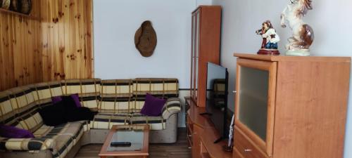 een woonkamer met een bank en een tv bij Casa El Rostro in Aldeadávila de la Ribera