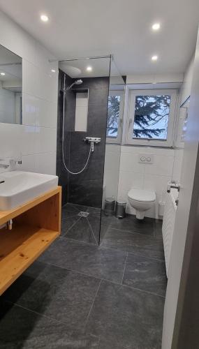 a bathroom with a shower and a sink and a toilet at Haus Tisch in Schruns-Tschagguns