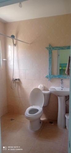 a bathroom with a toilet and a sink at Los Palmares Guest House & Eventos in San Cristóbal