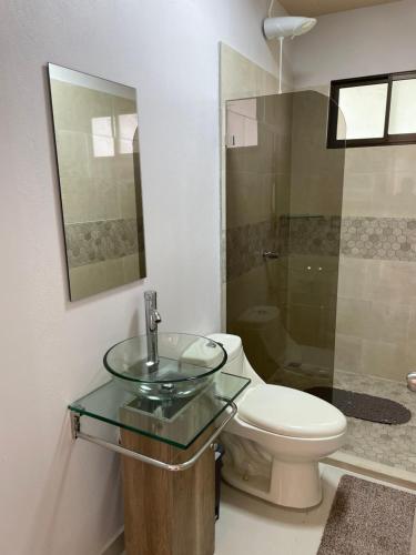 La salle de bains est pourvue de toilettes et d'un lavabo en verre. dans l'établissement Apartamentos en sarchi, à Sarchí