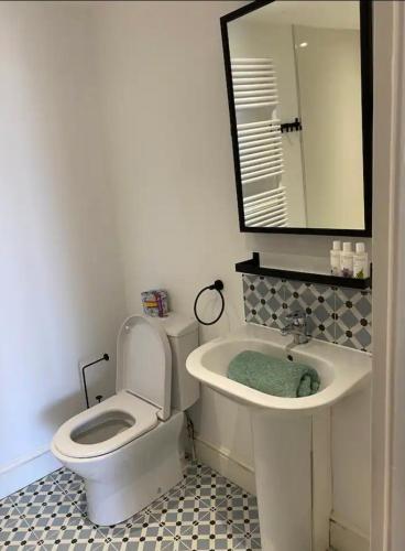 a bathroom with a toilet and a sink and a mirror at Stunning little house, 2 mins from Lyme Regis beach with a sea view to die for. Sleeps 2, free parking, small dog welcome. in Lyme Regis