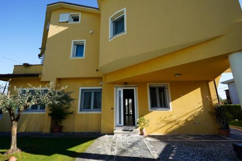 Una casa amarilla con un árbol delante. en Dimora Lucchese, en Lucca