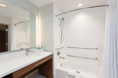 Koupelna v ubytování Holiday Inn Express & Suites Houston S - Medical Ctr Area by IHG