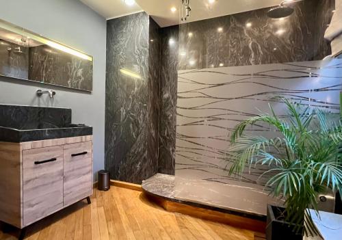 La salle de bains est pourvue d'une douche, d'un lavabo et d'une plante. dans l'établissement Magnifique Appartement 4 personnes - 2 Chambres - 2 SdB - Grande Terrasse Rue des Têtes - Colmar Centre, à Colmar